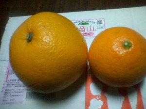 CA3B0003