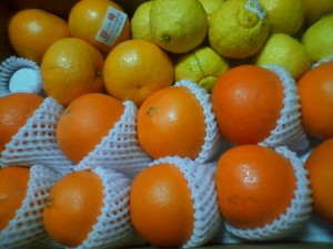 CA3B0006
