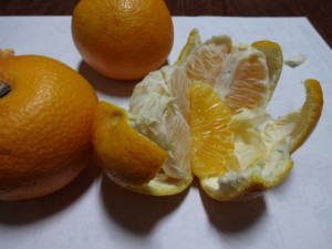 DSC00152