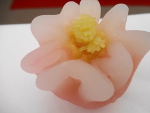 DSC00202-2
