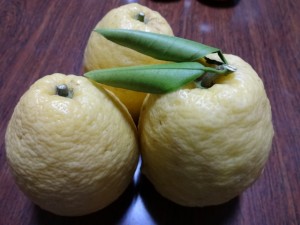 DSC00236