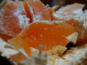 DSC00237