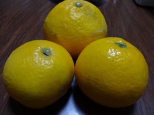 DSC00238