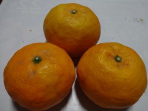 DSC00474