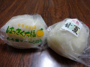 DSC00585