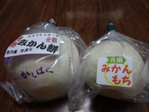 DSC00587