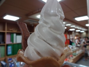 DSC00597