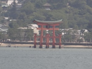 DSC00603