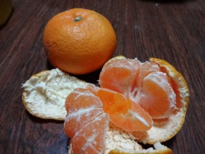 DSC00739