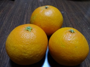 DSC00890