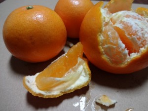 DSC00900