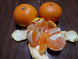 DSC01047