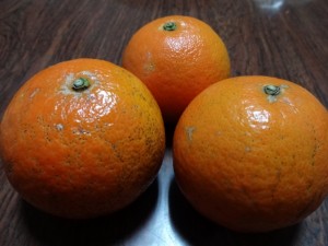 DSC01048