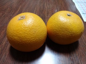 DSC01125