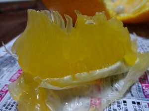 DSC01126