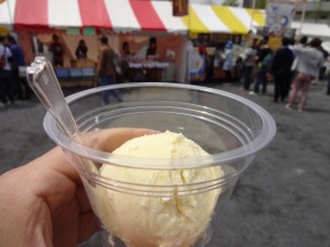 DSC01279