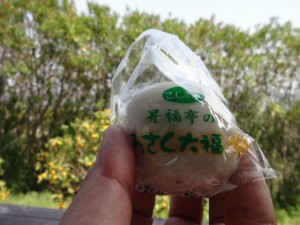 DSC01360