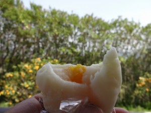 DSC01363