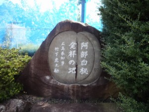 DSC01642