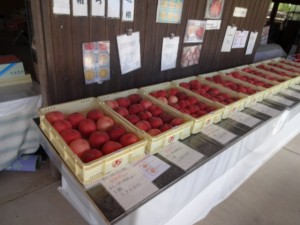 DSC01644
