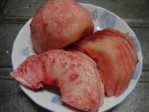 DSC01666
