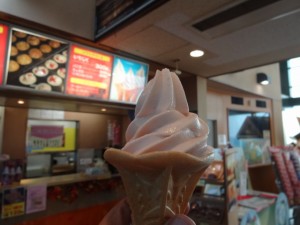 DSC01834