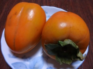 DSC01902