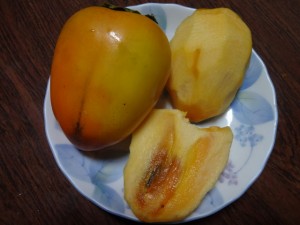 DSC01903