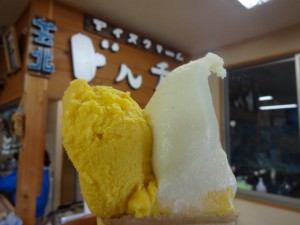 DSC01990