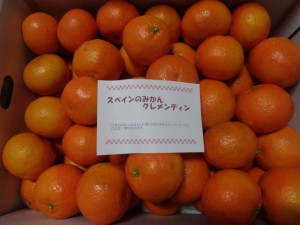 DSC02164
