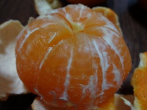DSC02193