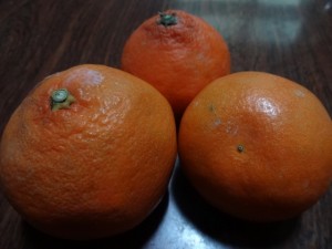 DSC02195