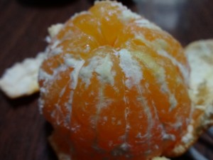 DSC02196