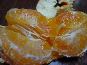 DSC02197