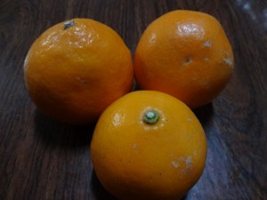 DSC02199