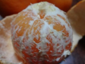 DSC02200