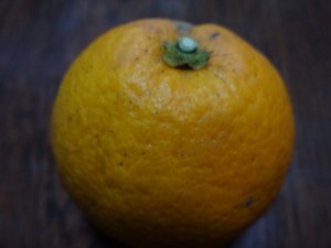DSC02285