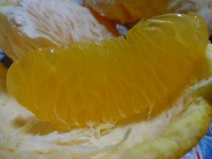 DSC02292