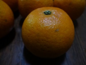 DSC02301