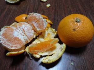 DSC02455