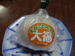 DSC02900