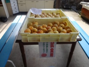 DSC02988