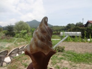 DSC03060