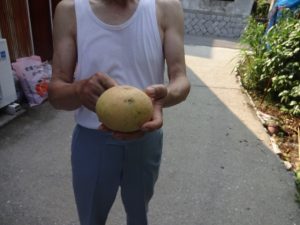 DSC02951