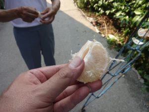 DSC02952